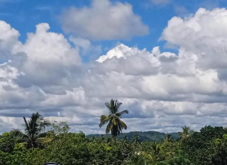 Отель Mum&dad House