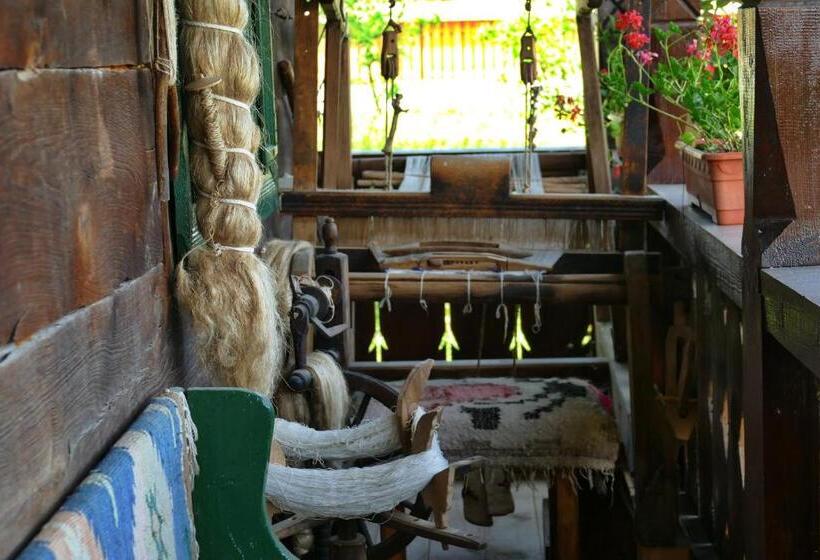 فندق Pensiunea Inima Maramureșului