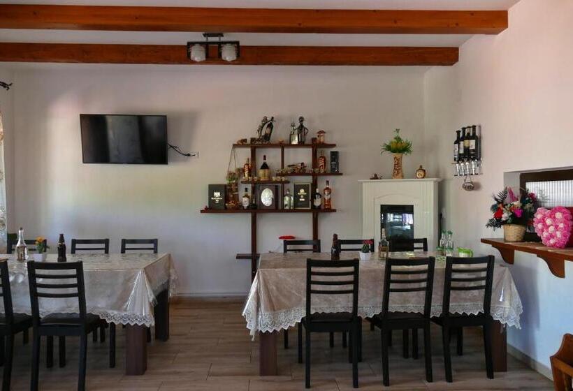 בית מלון כפרי Pensiunea Inima Maramureșului