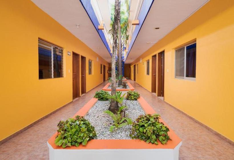 酒店 Yumkiin   Cerca Del Ferry Y Terminal Ado