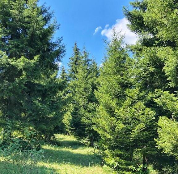 پانسیون Achela S Guesthouse