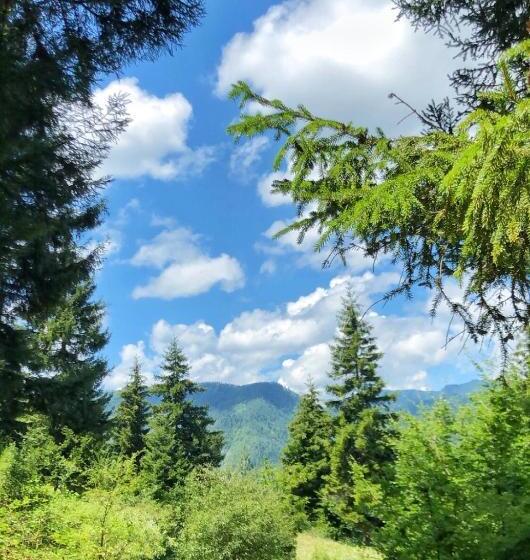 پانسیون Achela S Guesthouse