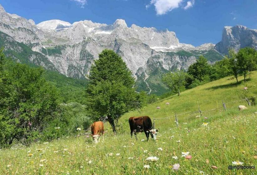پانسیون Bujtina Terthorja