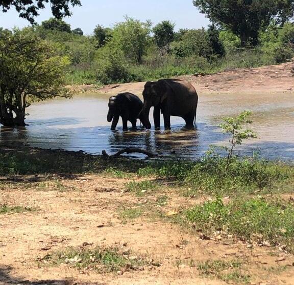 Pension Canal Side Safari Resort