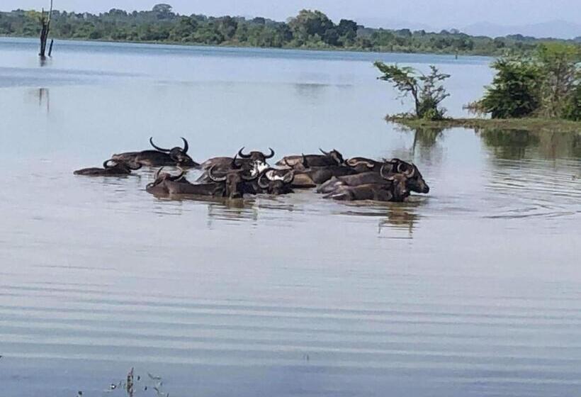 Pension Canal Side Safari Resort