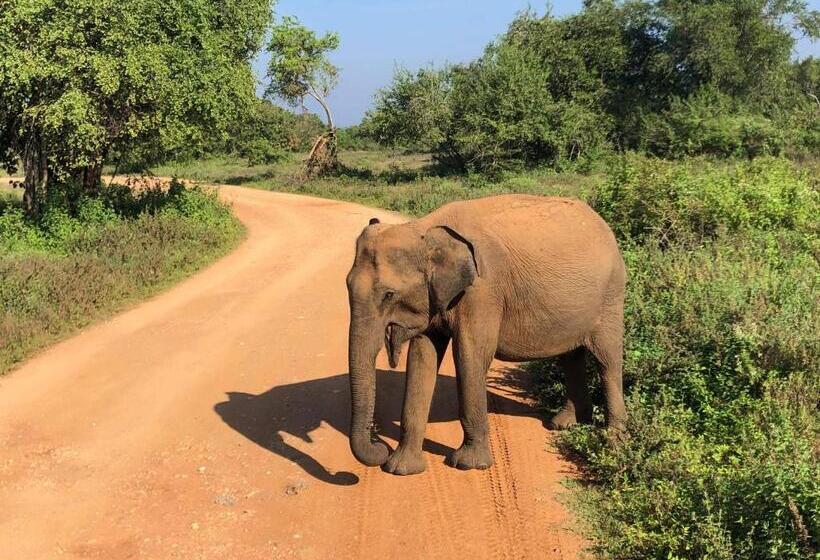 Pension Canal Side Safari Resort