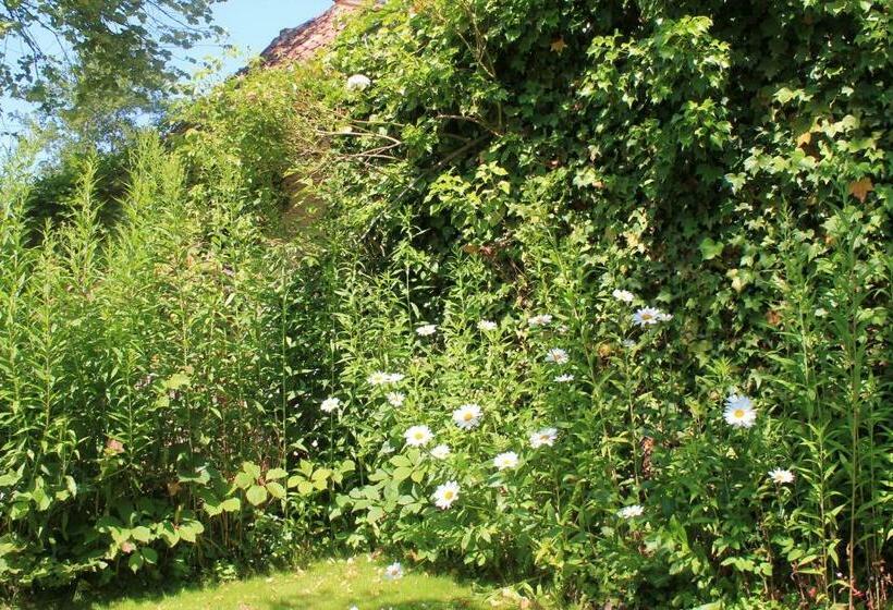 פנסיון Chambre Du Rouard Le Ruisseau