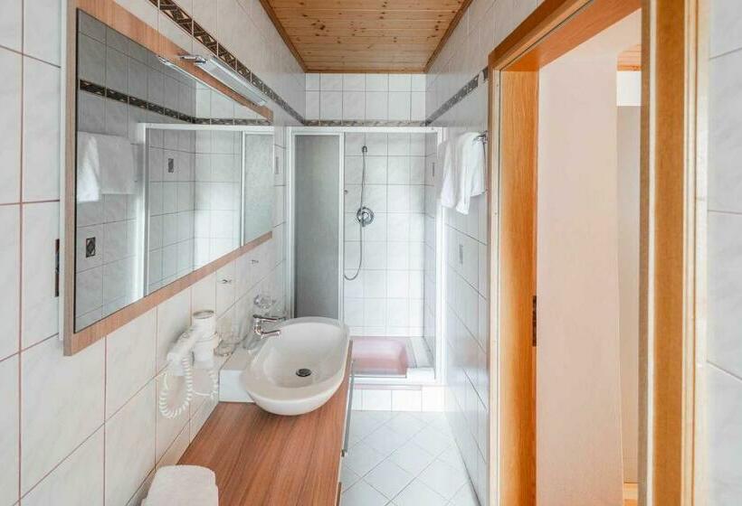 פנסיון Der Torwirt Radstadt