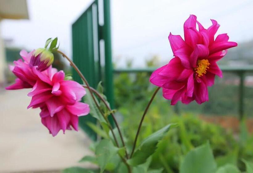 Пансион Gregory Hills