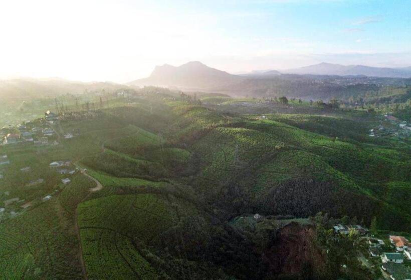 Пансион Gregory Hills