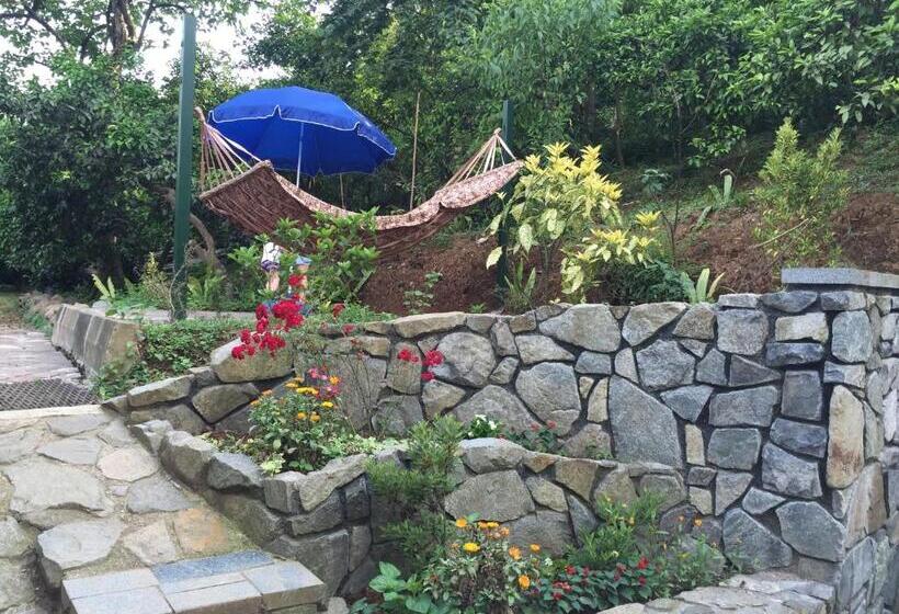 پانسیون Lasha Guest House