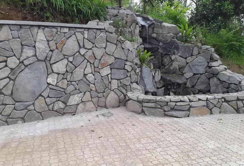 پانسیون Lasha Guest House