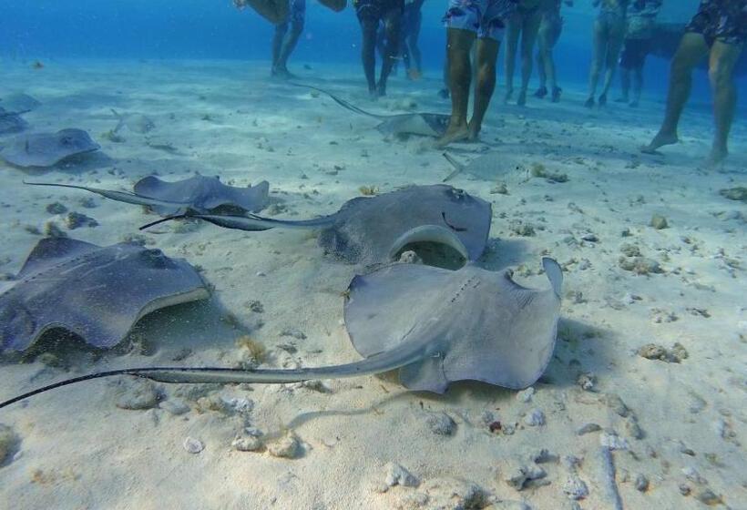 Пансион Marmows Place