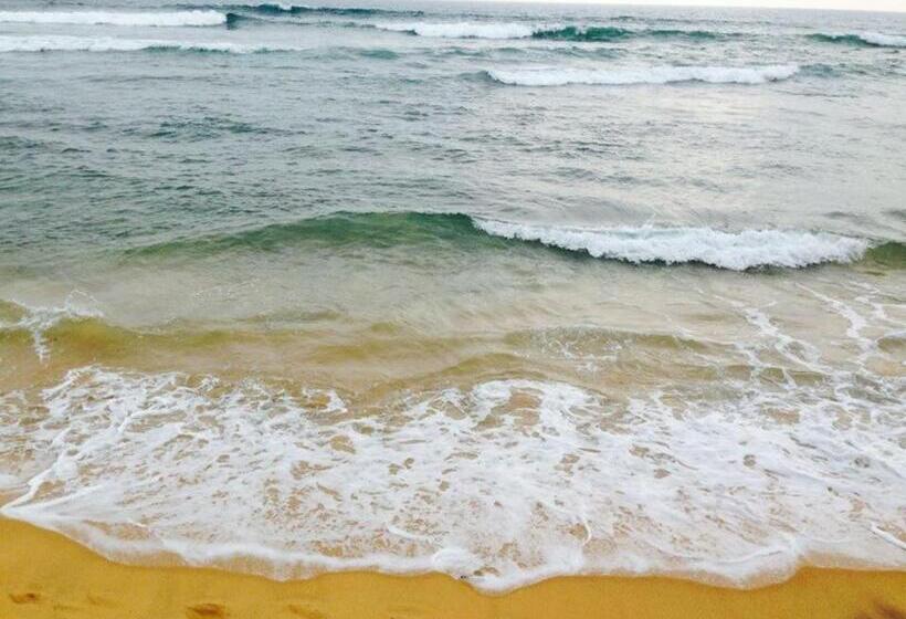 Пансион New Sea Lion Guest House