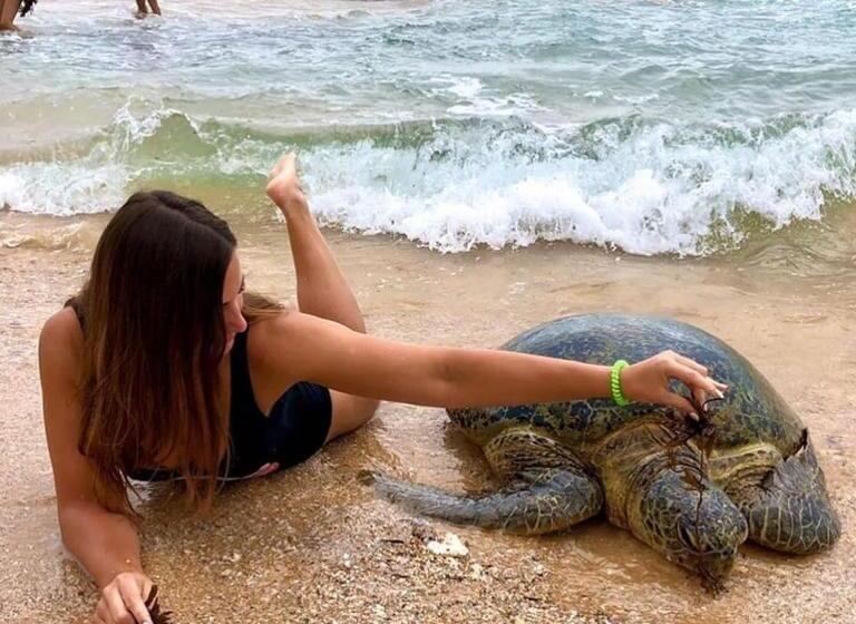 Пансион New Sea Lion Guest House