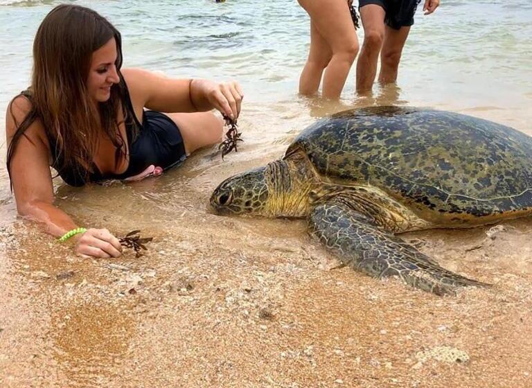 Пансион New Sea Lion Guest House
