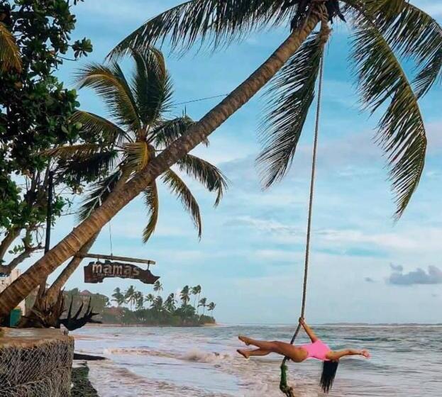 Пансион New Sea Lion Guest House