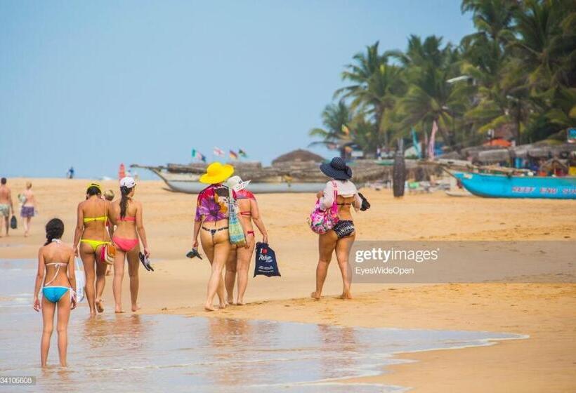 Пансион New Sea Lion Guest House