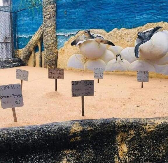 Пансион New Sea Lion Guest House