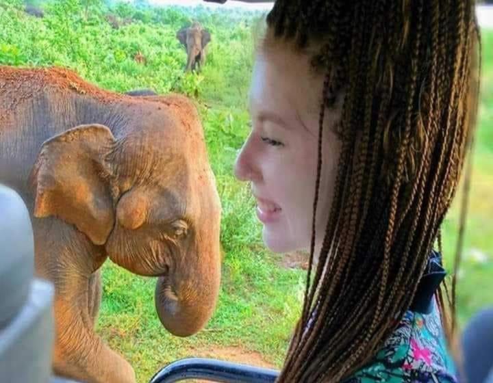 Пансион New Sea Lion Guest House