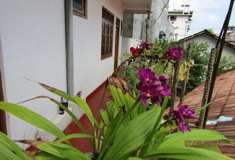 Пансион New Sea Lion Guest House