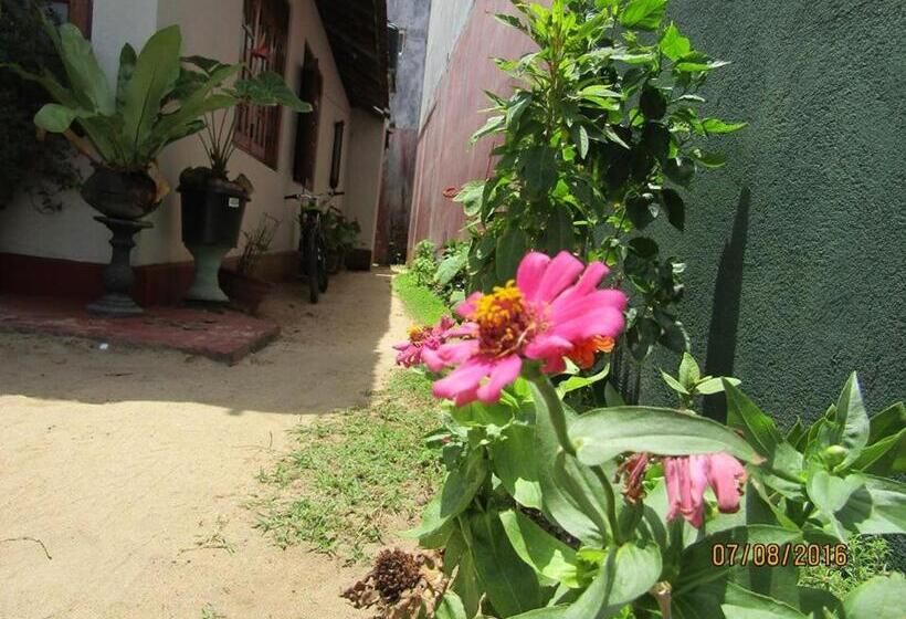 Пансион New Sea Lion Guest House