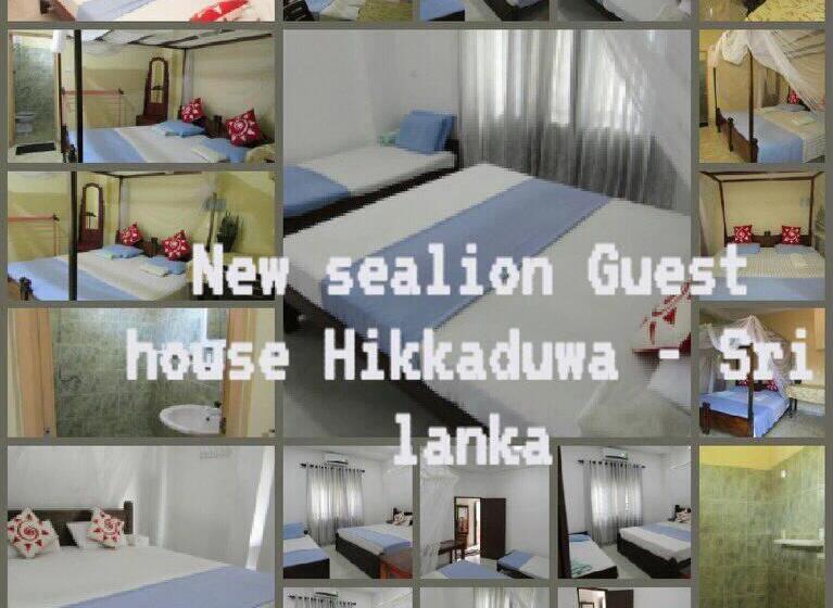 Пансион New Sea Lion Guest House