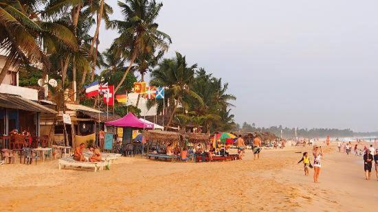 Пансион New Sea Lion Guest House