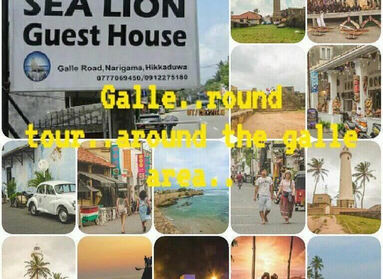 Пансион New Sea Lion Guest House