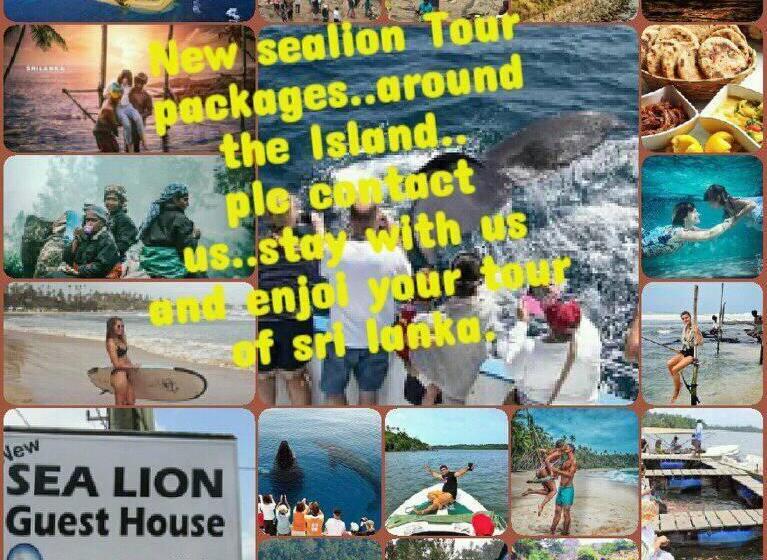 Пансион New Sea Lion Guest House