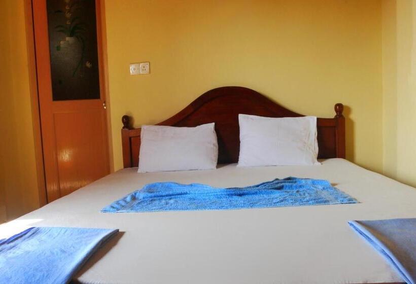 Пансион New Sea Lion Guest House