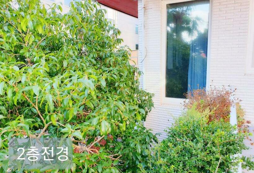 膳宿费 Picasso Guesthouse