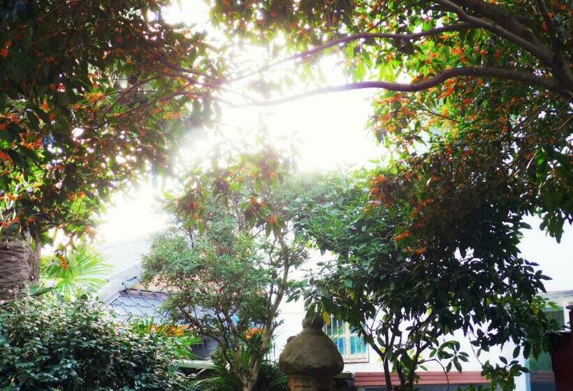 膳宿费 Picasso Guesthouse