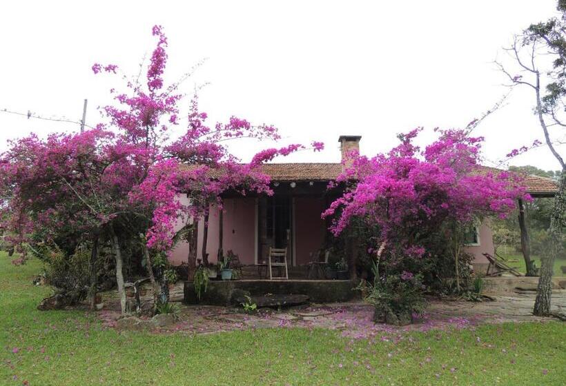 ペンション Pousada Sitio Da Serra