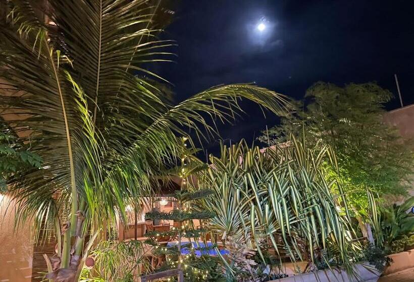 Пансион Recanto Maria Flor