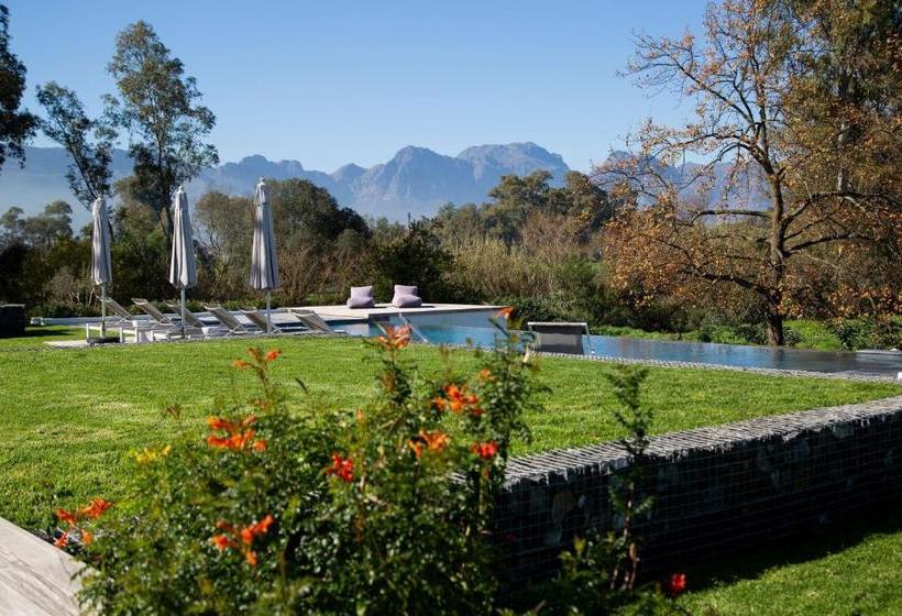 פנסיון Tempel Wines