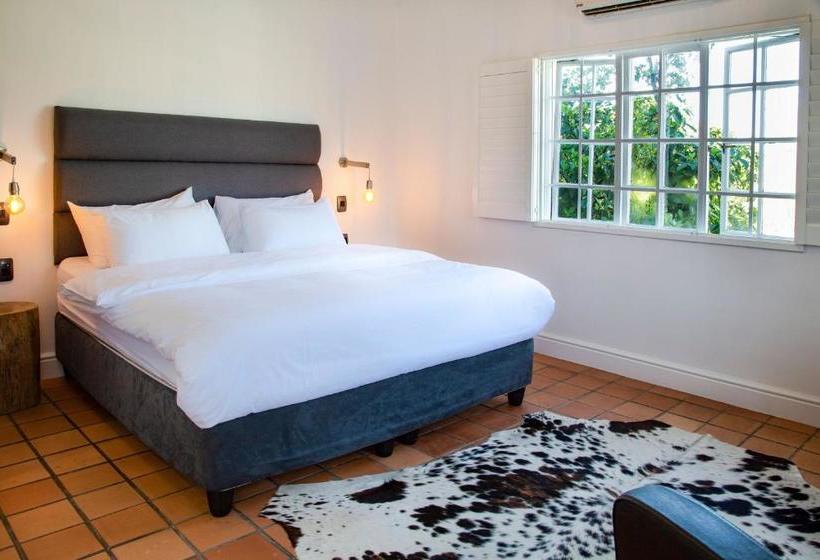 פנסיון Tempel Wines