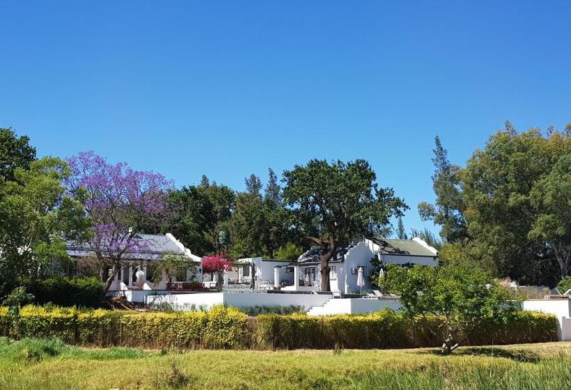 פנסיון Tempel Wines