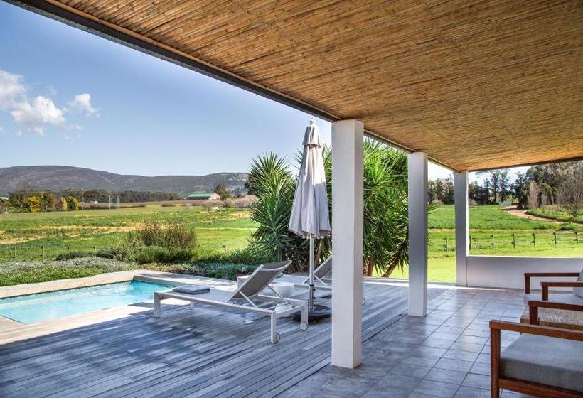 פנסיון Tempel Wines