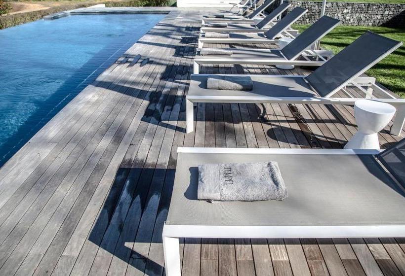 פנסיון Tempel Wines