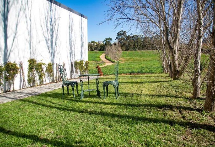 פנסיון Tempel Wines