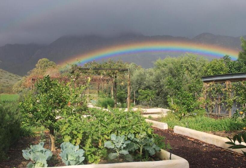 بنسيون The Barn On 62   Cottages