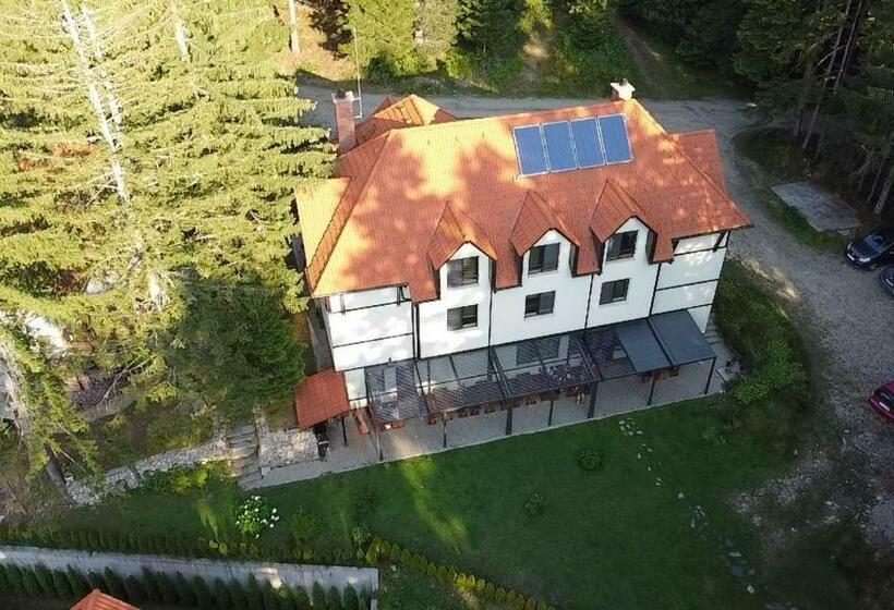 بنسيون Villa Eva