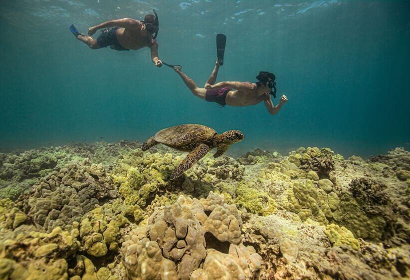 אתר נופש Fairmont Orchid Gold Experience