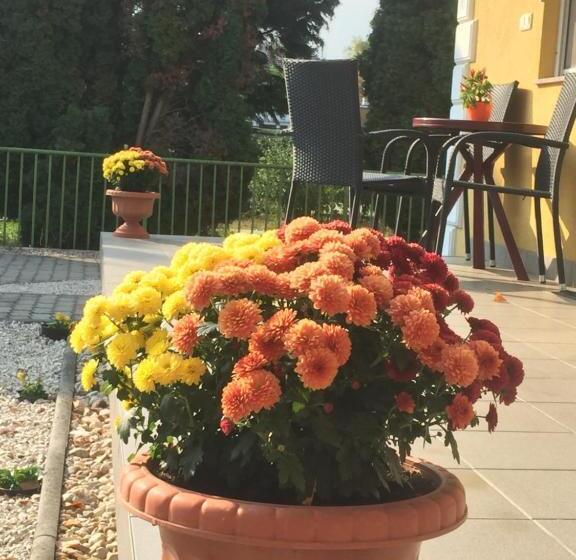 Villa Bella Apartman