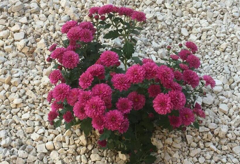 Villa Bella Apartman