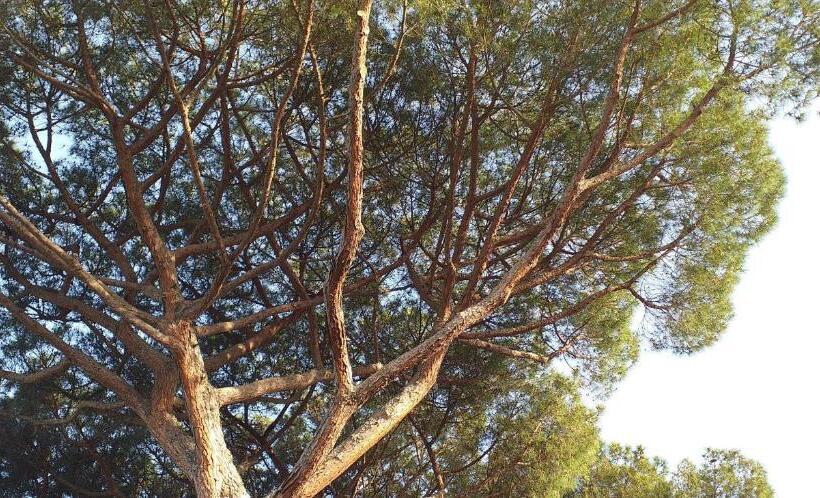 Villa Cavalletti Appartamenti