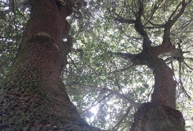 Villa Cavalletti Appartamenti