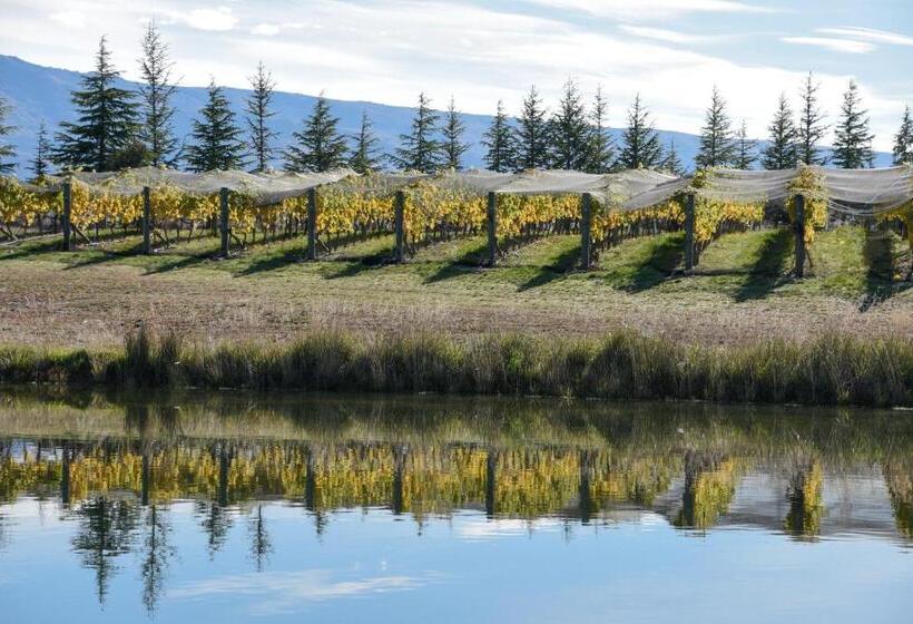 تختخواب و صبحانه Grey Ridge Vineyard Experience