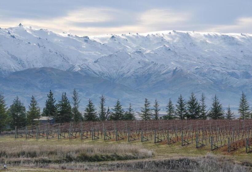 تختخواب و صبحانه Grey Ridge Vineyard Experience